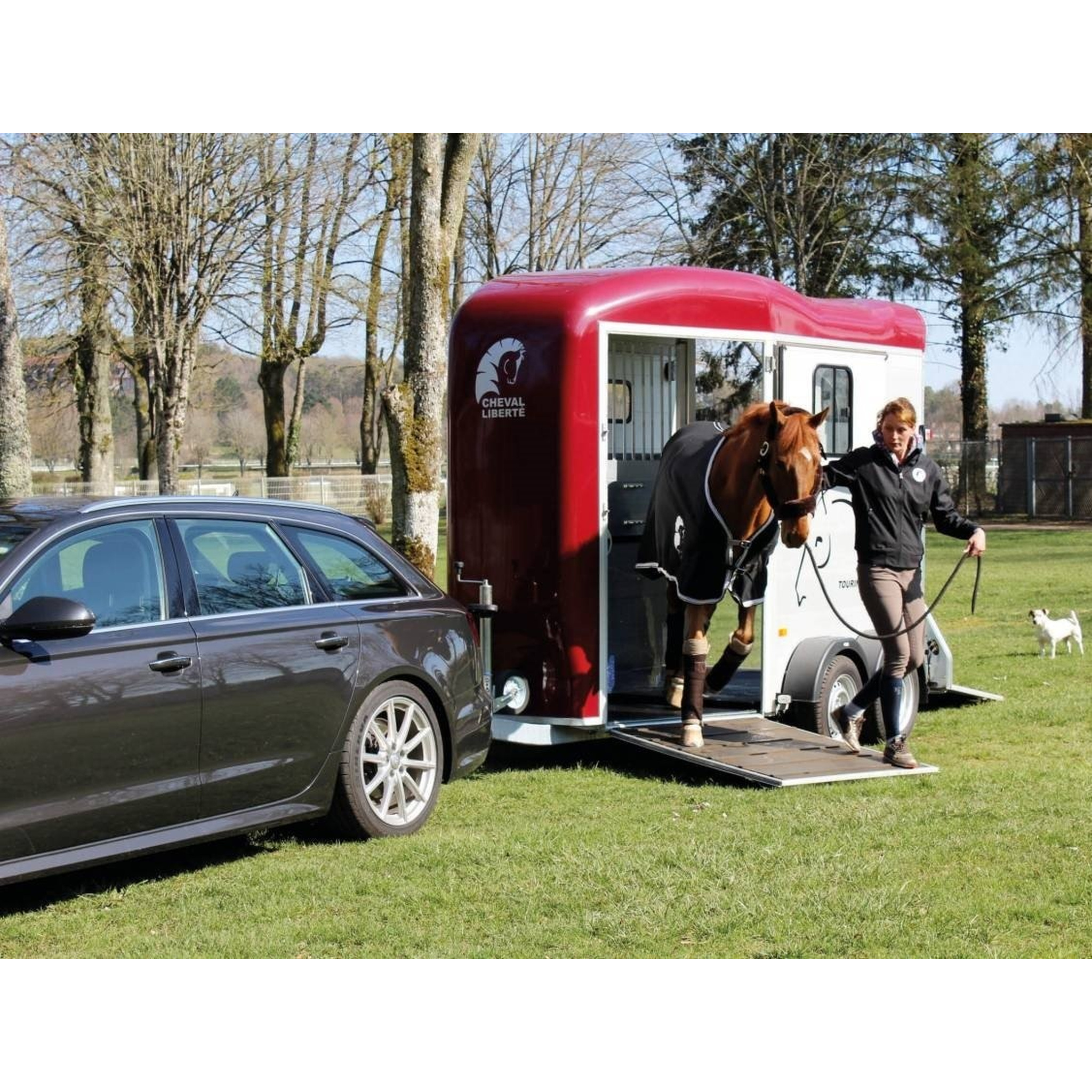 Van Cheval Liberté 2pl touring 3
