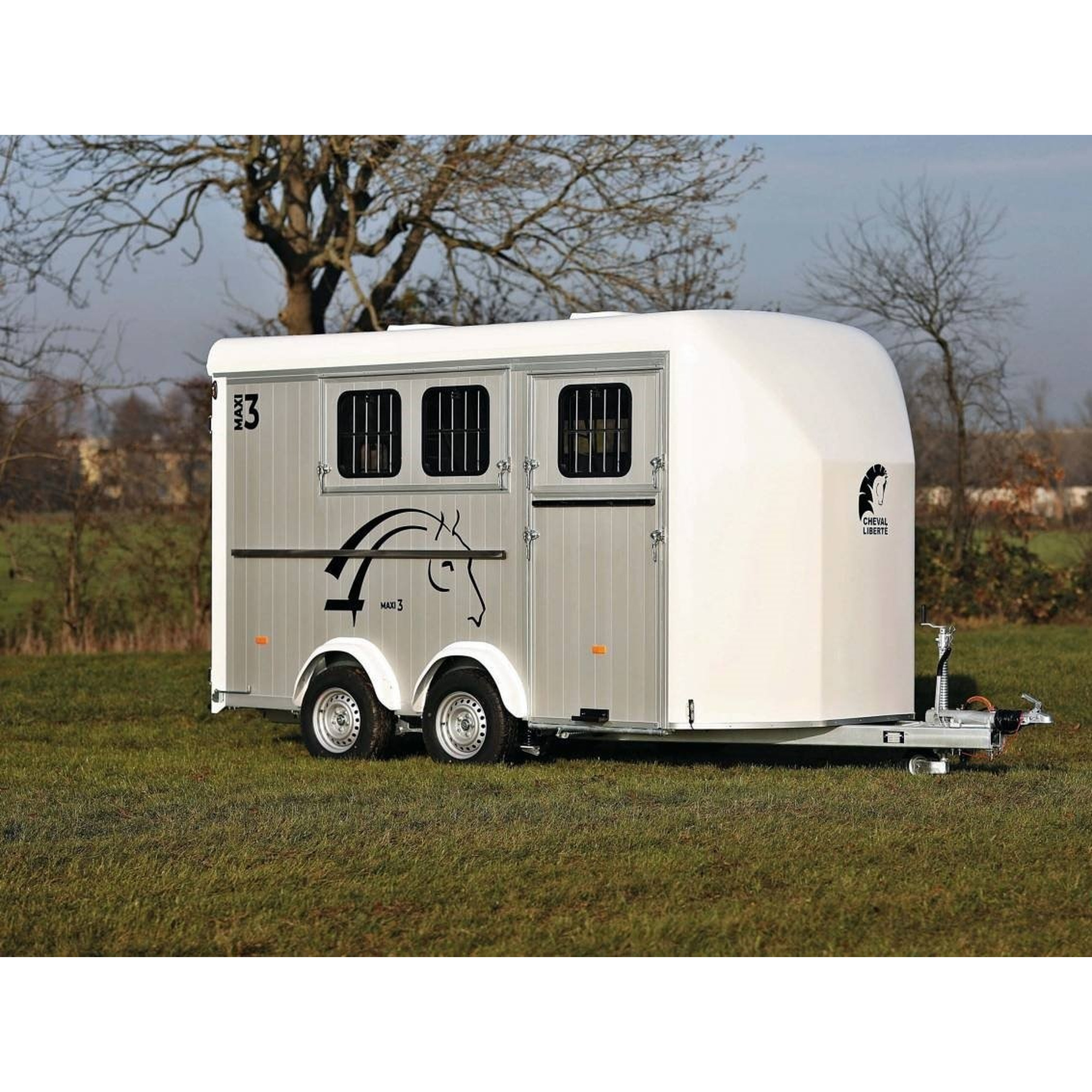 Cheval liberté 3places MAXI 3 2021 23