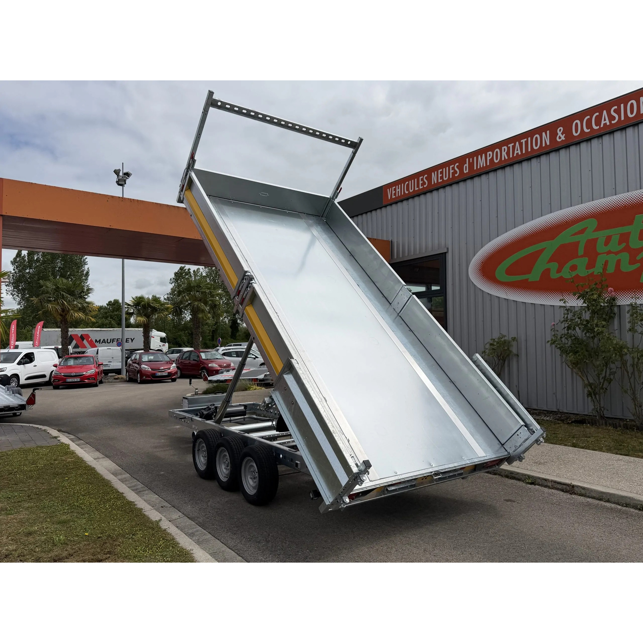 TIPPER 4020-35-3-12 / 3500 KG (3 essieux) 11