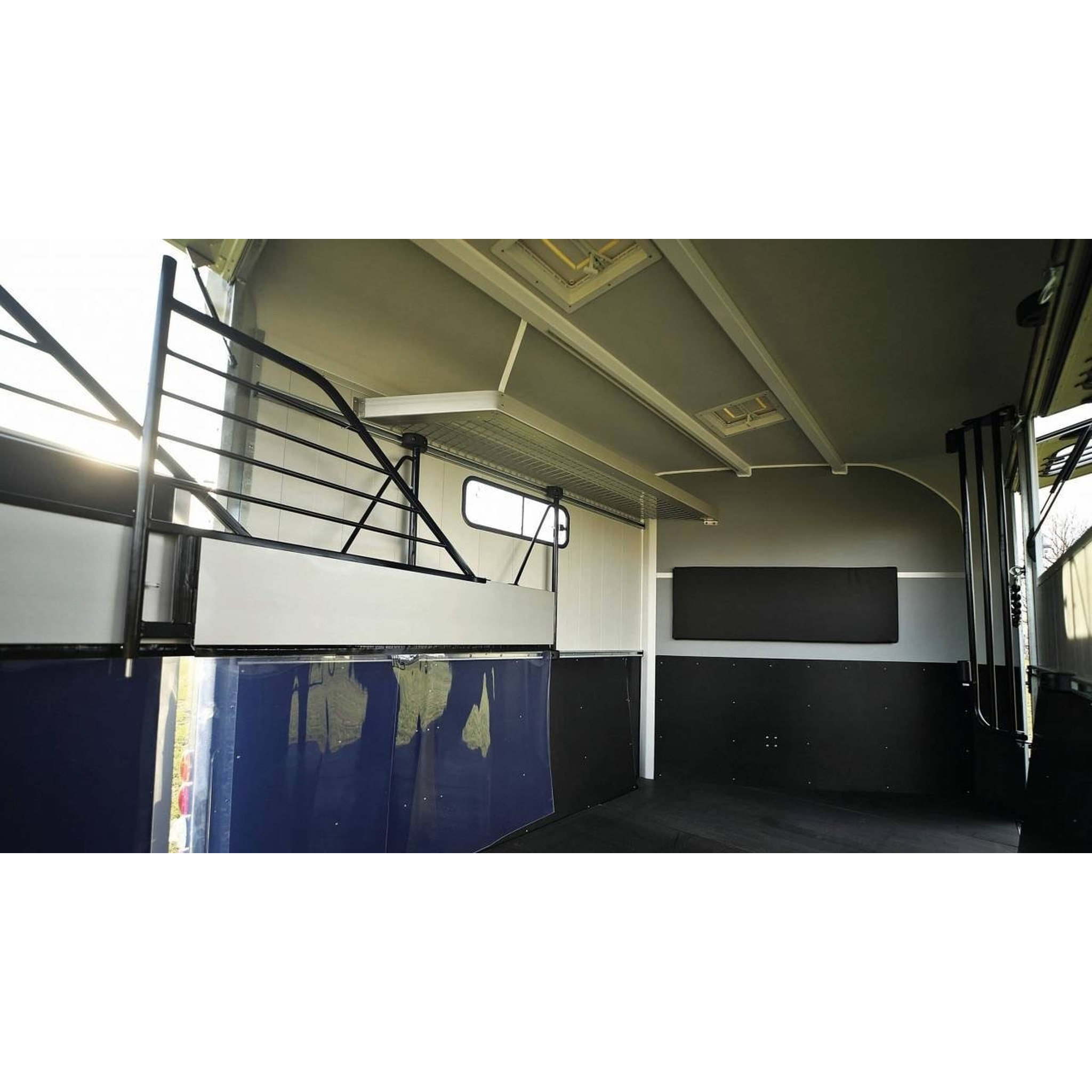 Cheval liberté 3places MAXI 3 2021 7