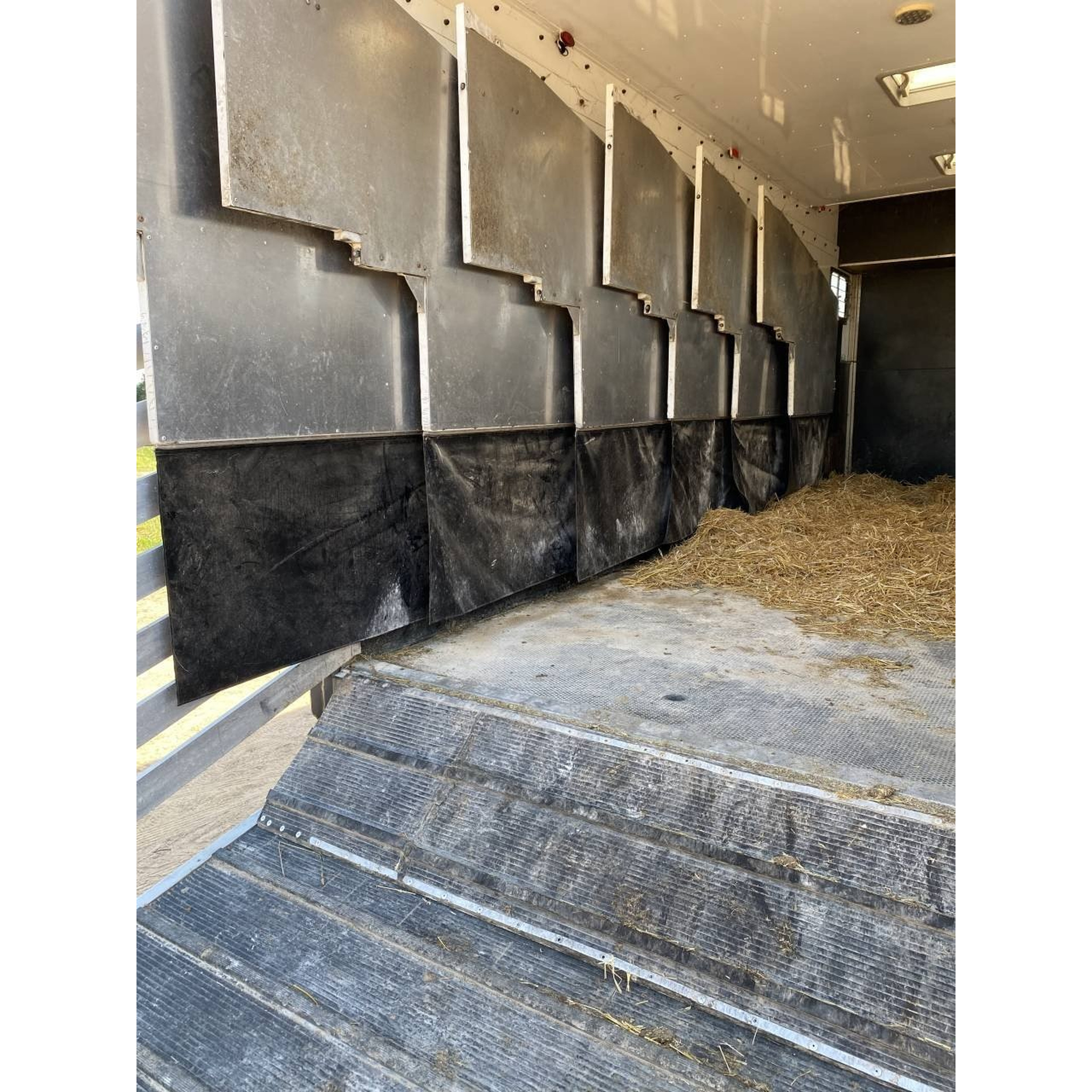 CAMION CHEVAUX 7 PLACES AVEC HOME CAR OCCASION 4