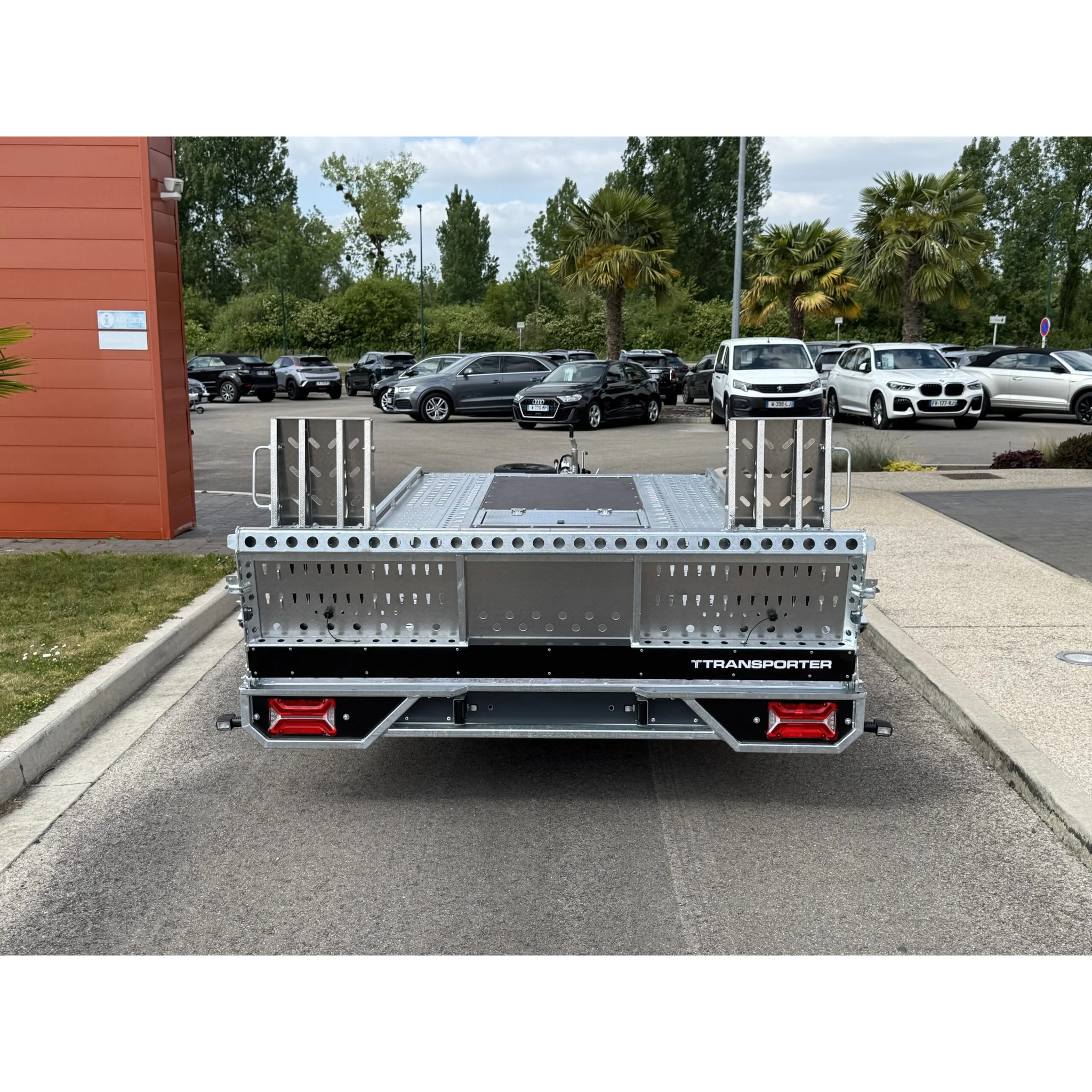 T-TRANSPORTER 4520-30-2-10 – 3000 kg 10