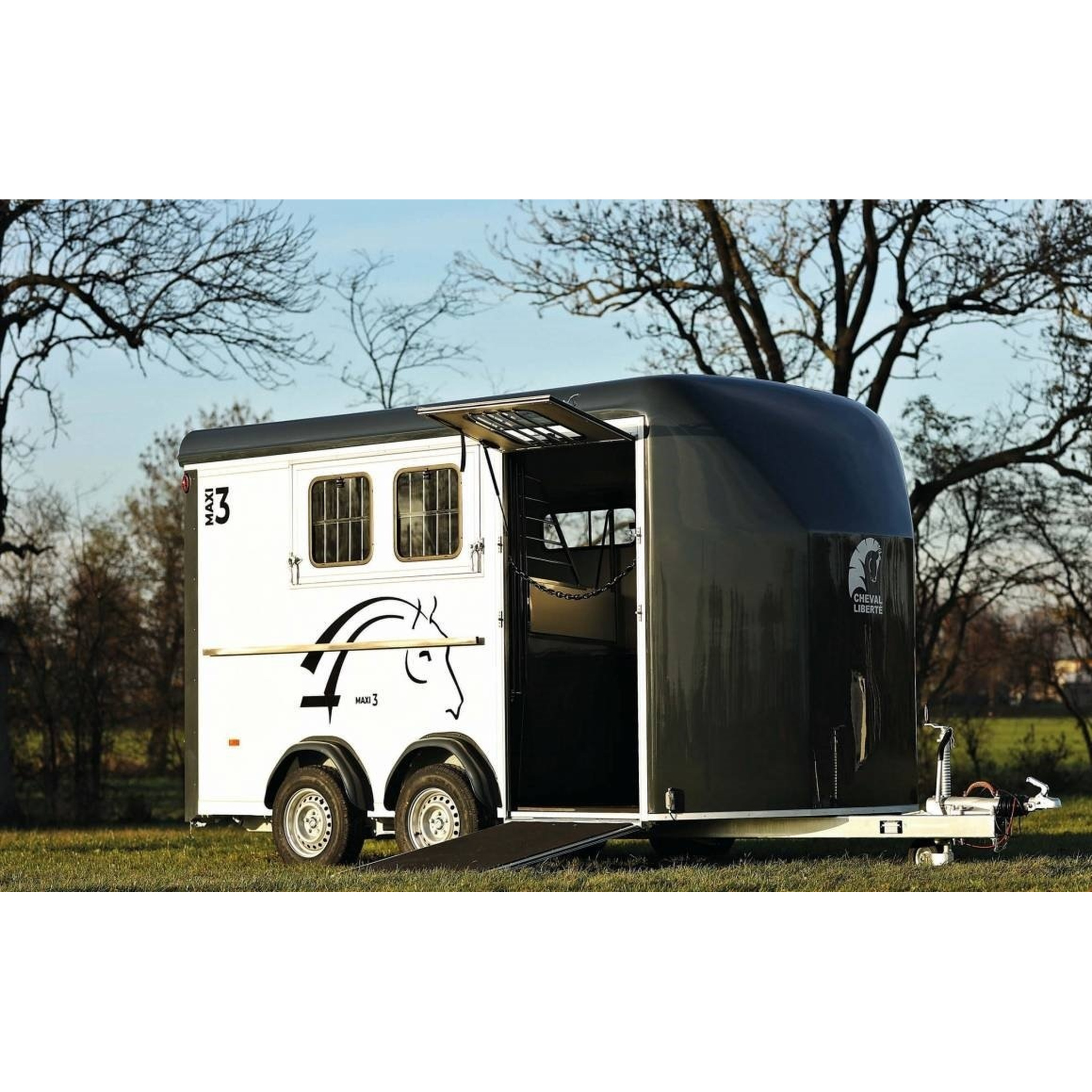 Cheval liberté 3places MAXI 3 2021 12