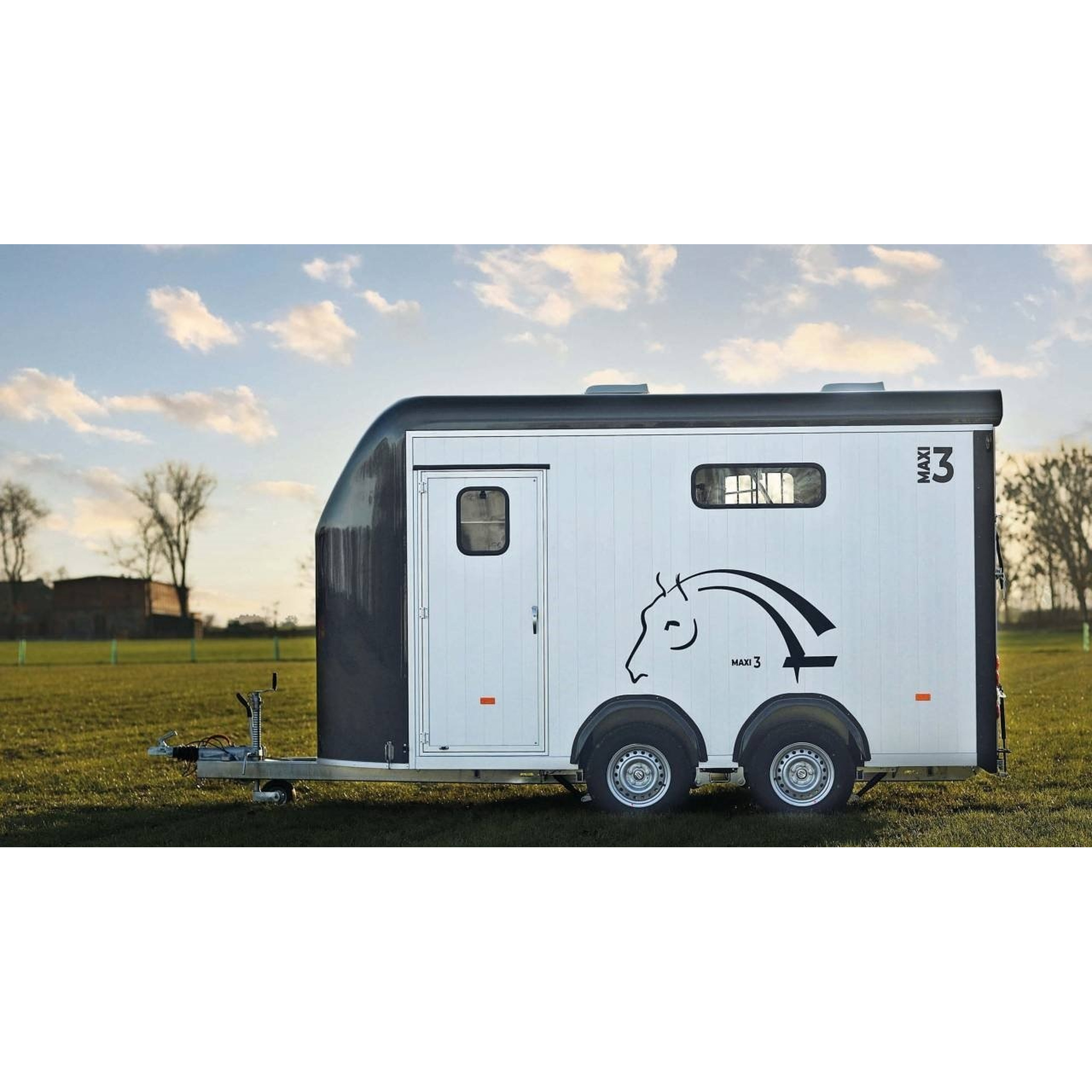 Cheval liberté 3places MAXI 3 2021 6