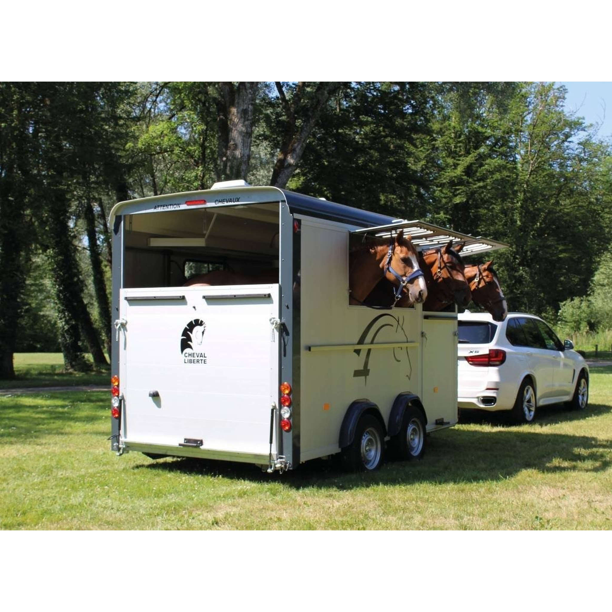 Cheval liberté 3places MAXI 3 2021