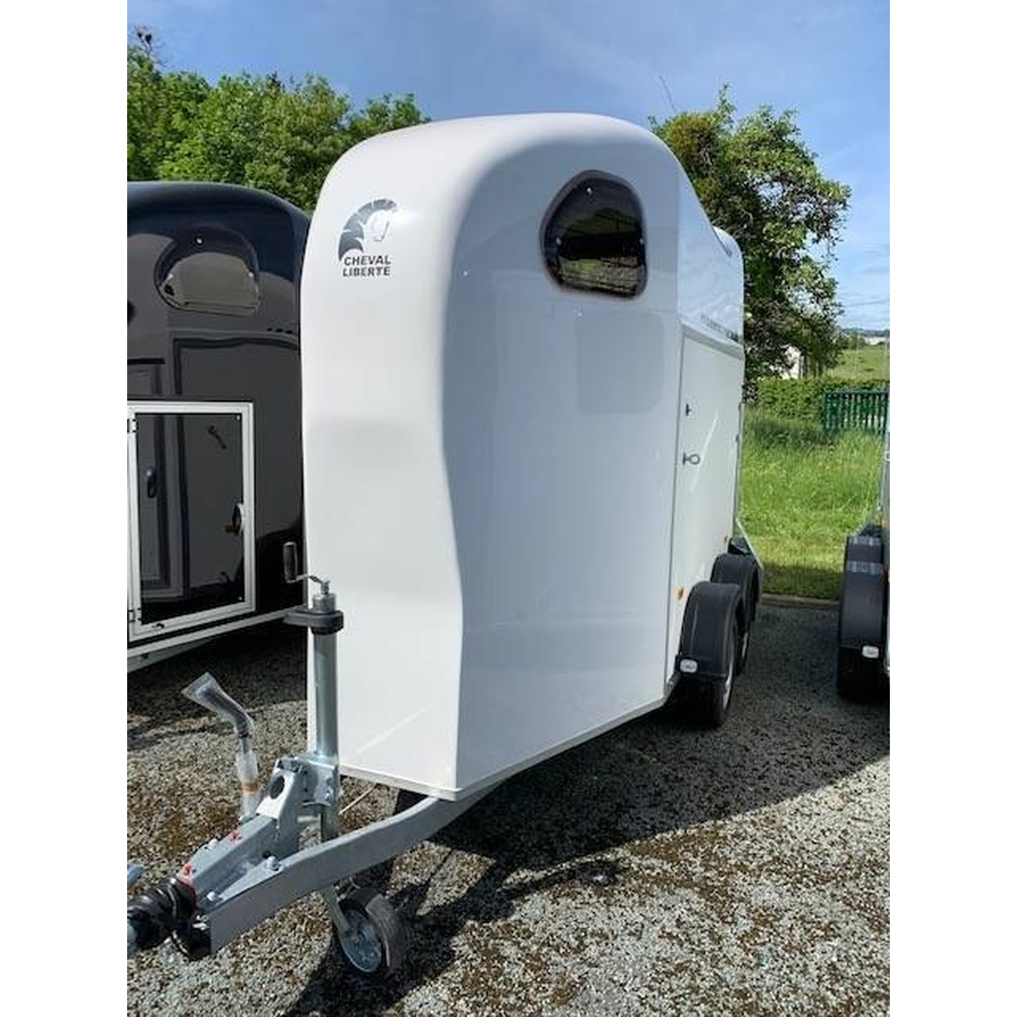 VAN 1.5 SERIE WHITE LINE NEUF 2
