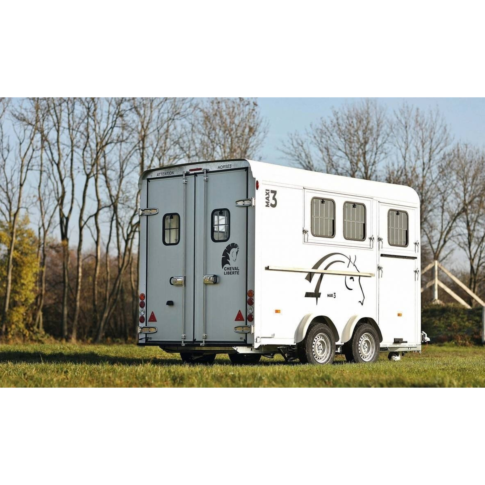 Cheval liberté 3places MAXI 3 2021 21