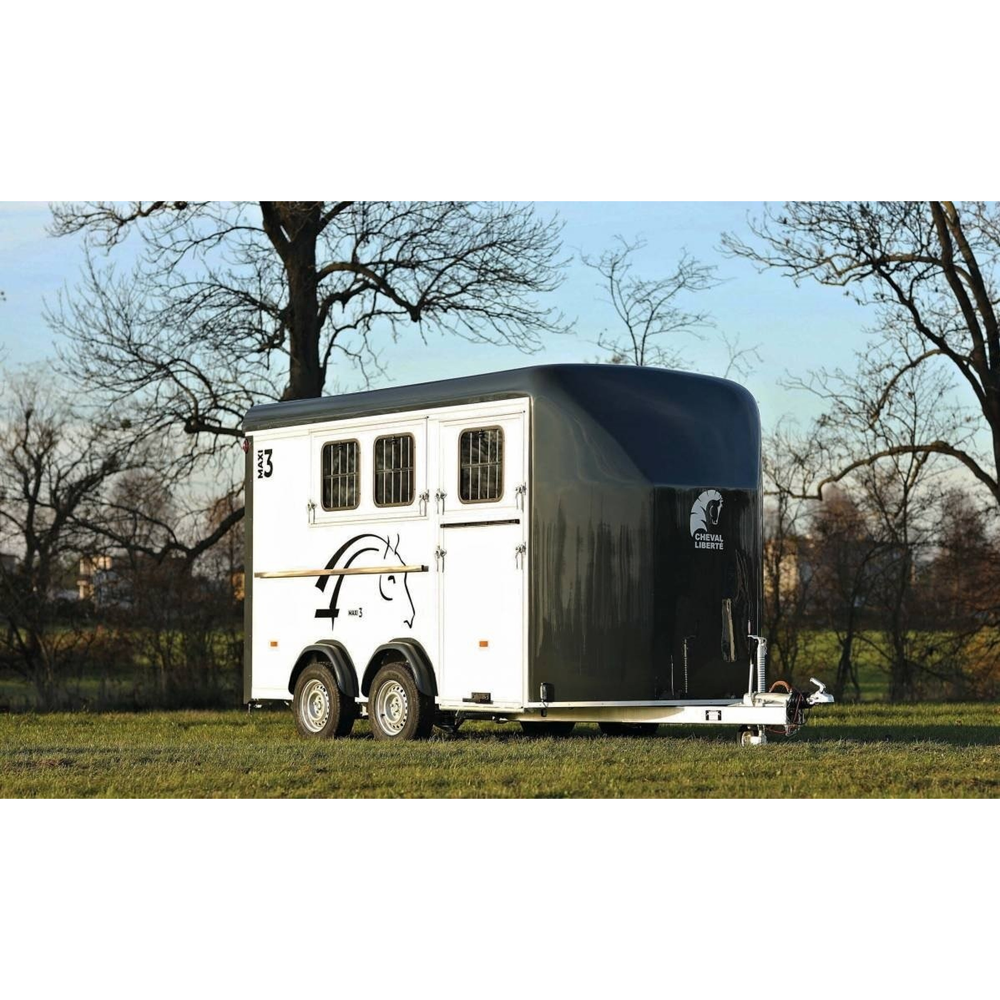 Cheval liberté 3places MAXI 3 2021 13